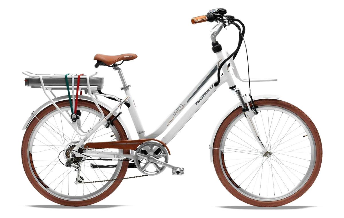 visual Earliest Sermon Electricbikes - bici elettriche, ebike MTB, ricambi batterie